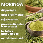 Moringa em Pó ou Capsulas - 100% pura
