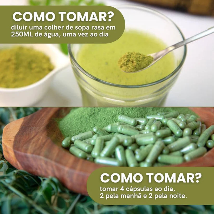 Moringa em Pó ou Capsulas - 100% pura