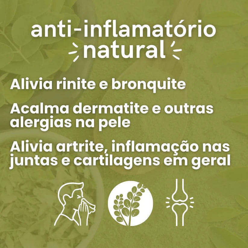 Moringa em Pó ou Capsulas - 100% pura