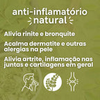 Moringa em Pó ou Capsulas - 100% pura