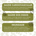 Moringa em Pó ou Capsulas - 100% pura