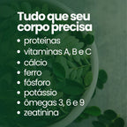 Moringa em Pó ou Capsulas - 100% pura