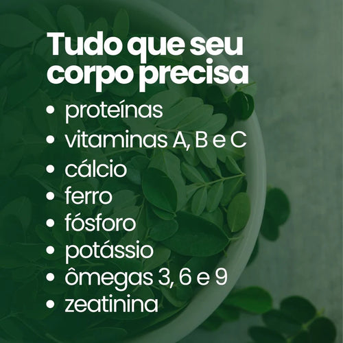Moringa em Pó ou Capsulas - 100% pura