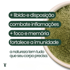 Moringa em Pó ou Capsulas - 100% pura
