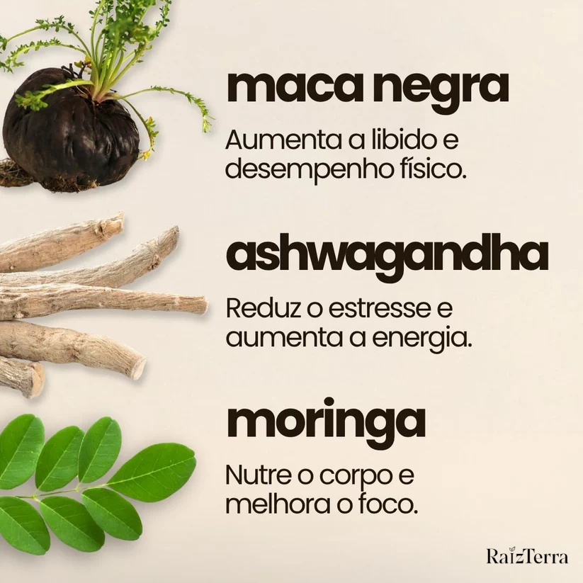 Combo Disposição | Moringa + Ashwagandha + Maca Negra (Brinde)