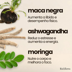 Combo Disposição | Moringa + Ashwagandha + Maca Negra (Brinde)