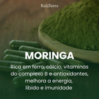 Combo Disposição | Moringa + Ashwagandha + Maca Negra (Brinde)