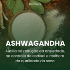 Combo Disposição | Moringa + Ashwagandha + Maca Negra (Brinde)