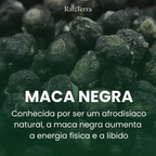 Combo Disposição | Moringa + Ashwagandha + Maca Negra (Brinde)