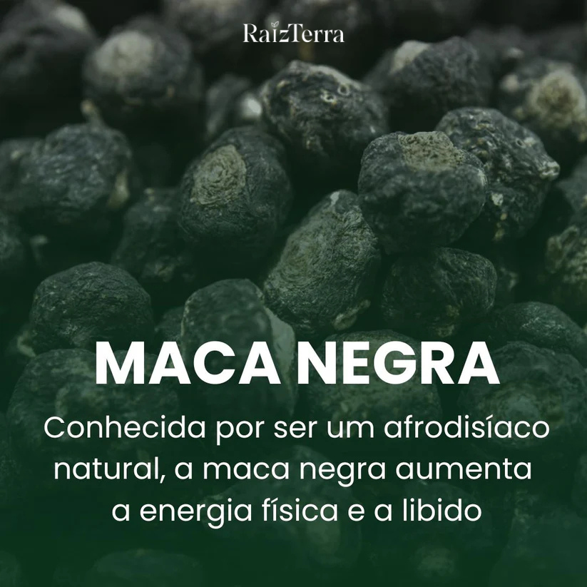 Combo Disposição | Moringa + Ashwagandha + Maca Negra (Brinde)